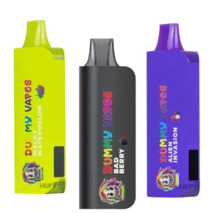 Vape Dummy 69 8000 puff